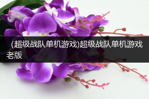 （超级战队单机游戏)超级战队单机游戏老版