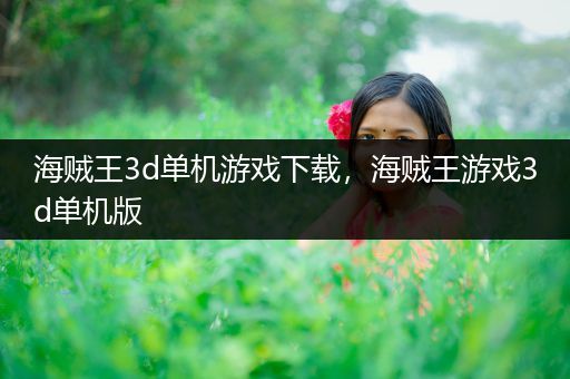 海贼王3d单机游戏下载，海贼王游戏3d单机版