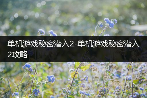 单机游戏秘密潜入2-单机游戏秘密潜入2攻略