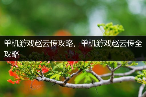单机游戏赵云传攻略，单机游戏赵云传全攻略