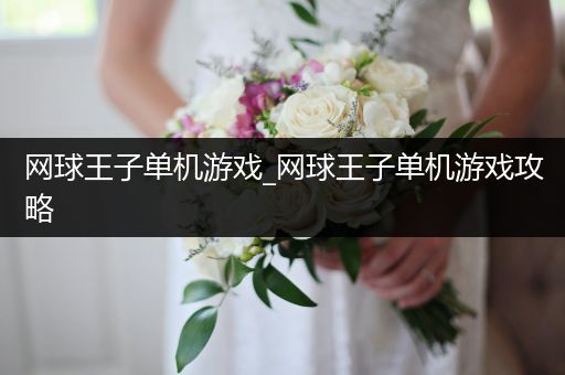 网球王子单机游戏_网球王子单机游戏攻略