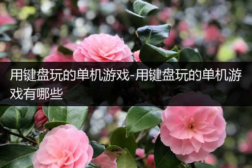 用键盘玩的单机游戏-用键盘玩的单机游戏有哪些