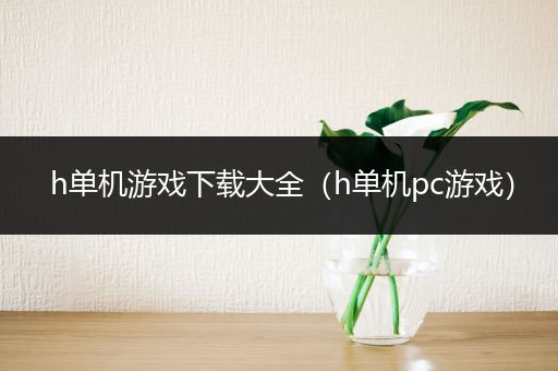 h单机游戏下载大全（h单机pc游戏）