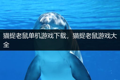 猫捉老鼠单机游戏下载，猫捉老鼠游戏大全