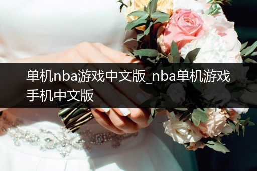单机nba游戏中文版_nba单机游戏手机中文版