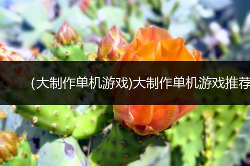 （大制作单机游戏)大制作单机游戏推荐