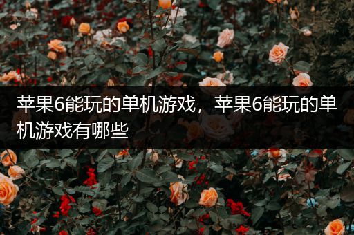 苹果6能玩的单机游戏，苹果6能玩的单机游戏有哪些