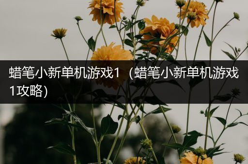 蜡笔小新单机游戏1（蜡笔小新单机游戏1攻略）