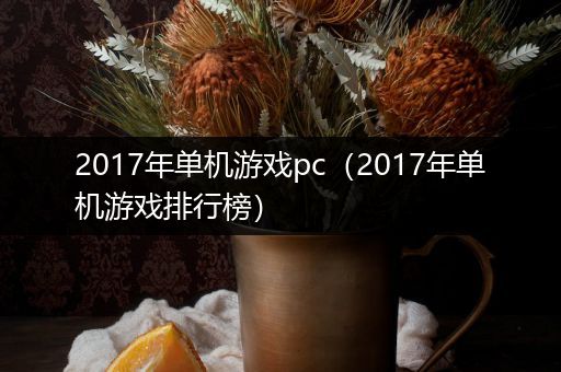 2017年单机游戏pc（2017年单机游戏排行榜）