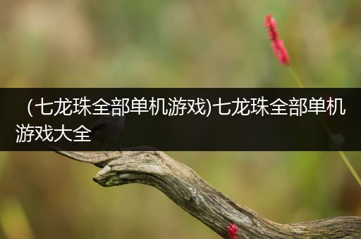 （七龙珠全部单机游戏)七龙珠全部单机游戏大全