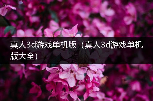 真人3d游戏单机版（真人3d游戏单机版大全）