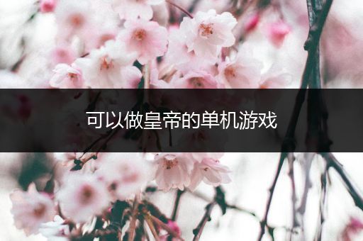 可以做皇帝的单机游戏