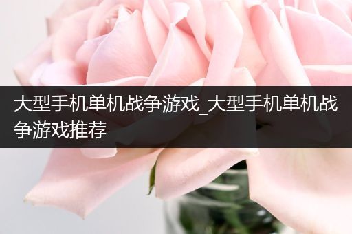 大型手机单机战争游戏_大型手机单机战争游戏推荐