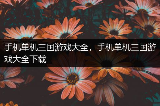 手机单机三国游戏大全，手机单机三国游戏大全下载