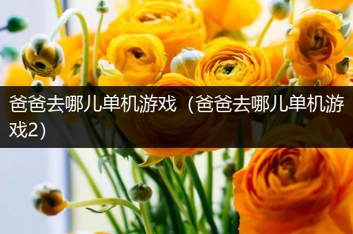 爸爸去哪儿单机游戏（爸爸去哪儿单机游戏2）