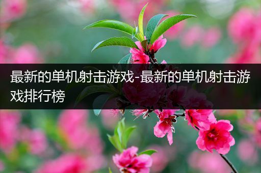 最新的单机射击游戏-最新的单机射击游戏排行榜