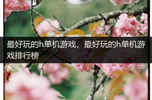 最好玩的h单机游戏，最好玩的h单机游戏排行榜