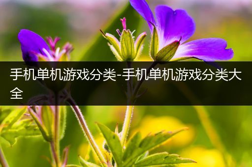 手机单机游戏分类-手机单机游戏分类大全