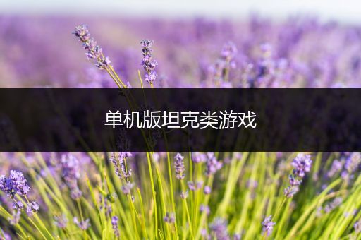 单机版坦克类游戏