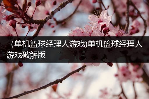 （单机篮球经理人游戏)单机篮球经理人游戏破解版
