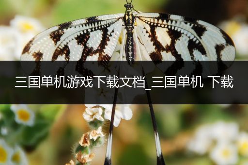 三国单机游戏下载文档_三国单机 下载