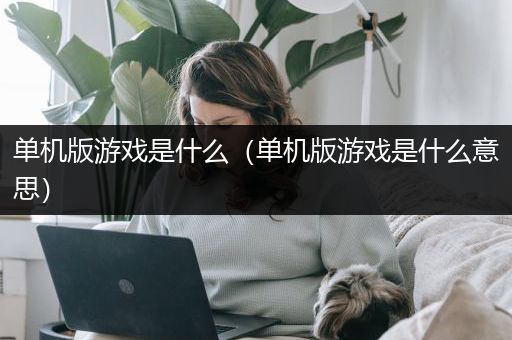 单机版游戏是什么（单机版游戏是什么意思）