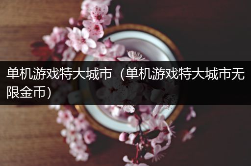 单机游戏特大城市（单机游戏特大城市无限金币）