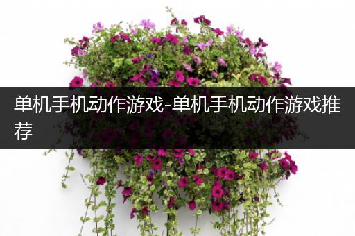 单机手机动作游戏-单机手机动作游戏推荐