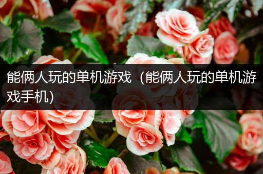 能俩人玩的单机游戏（能俩人玩的单机游戏手机）