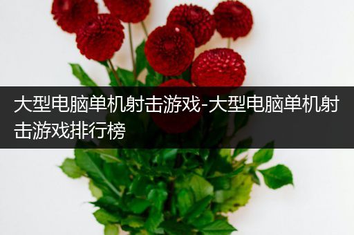 大型电脑单机射击游戏-大型电脑单机射击游戏排行榜