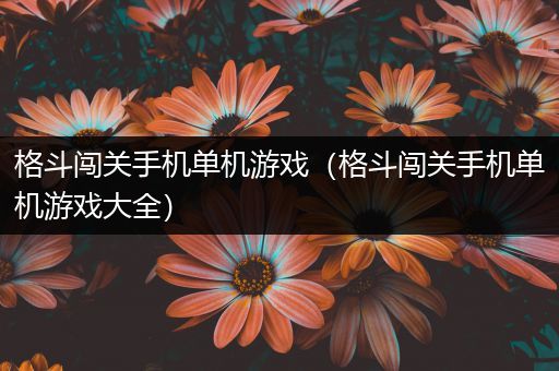 格斗闯关手机单机游戏（格斗闯关手机单机游戏大全）