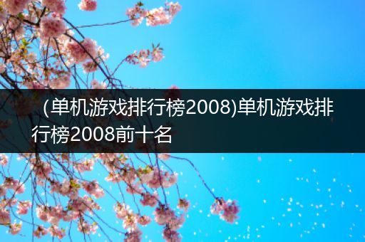 （单机游戏排行榜2008)单机游戏排行榜2008前十名