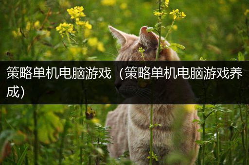 策略单机电脑游戏（策略单机电脑游戏养成）