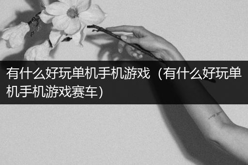 有什么好玩单机手机游戏（有什么好玩单机手机游戏赛车）