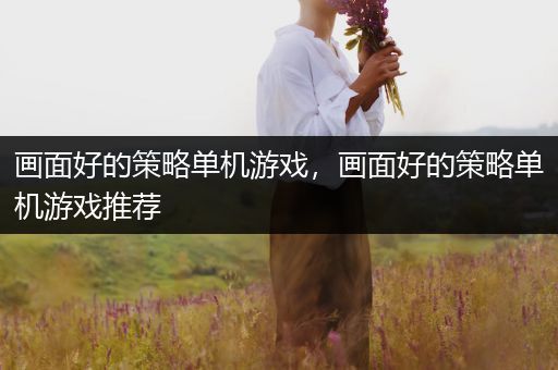 画面好的策略单机游戏，画面好的策略单机游戏推荐