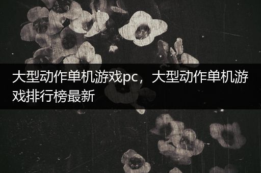 大型动作单机游戏pc，大型动作单机游戏排行榜最新