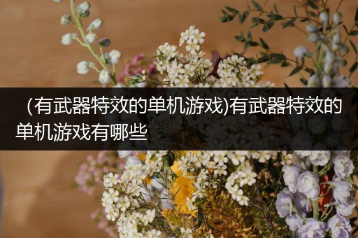 （有武器特效的单机游戏)有武器特效的单机游戏有哪些