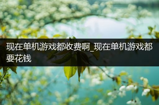 现在单机游戏都收费啊_现在单机游戏都要花钱