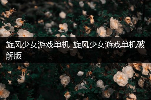 旋风少女游戏单机_旋风少女游戏单机破解版