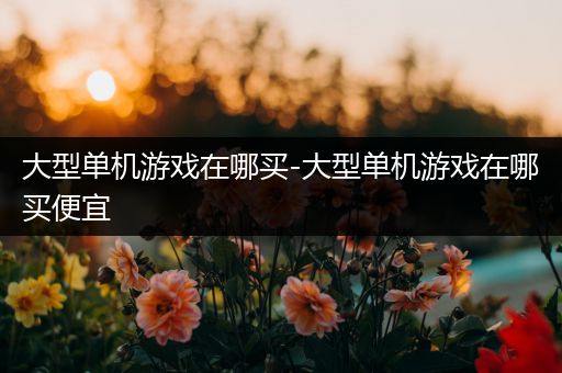 大型单机游戏在哪买-大型单机游戏在哪买便宜