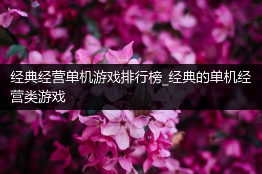 经典经营单机游戏排行榜_经典的单机经营类游戏