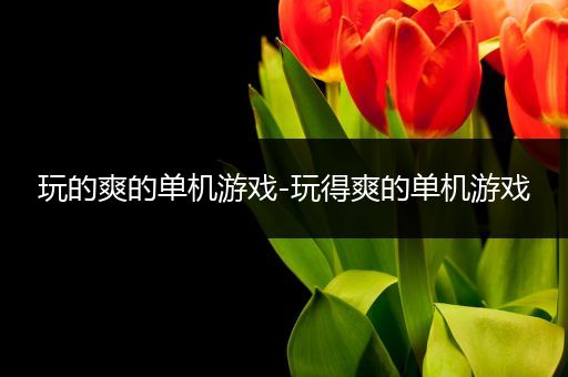 玩的爽的单机游戏-玩得爽的单机游戏