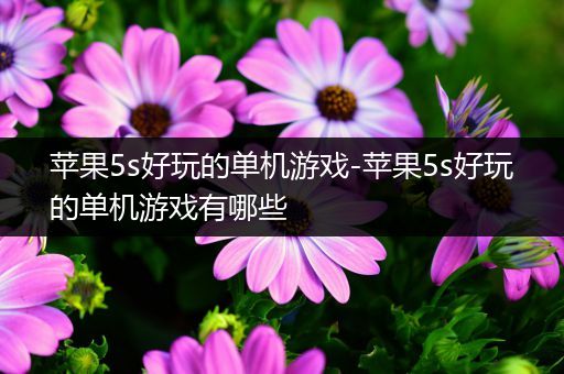 苹果5s好玩的单机游戏-苹果5s好玩的单机游戏有哪些