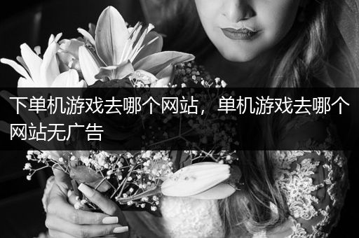 下单机游戏去哪个网站，单机游戏去哪个网站无广告