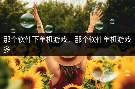 那个软件下单机游戏，那个软件单机游戏多