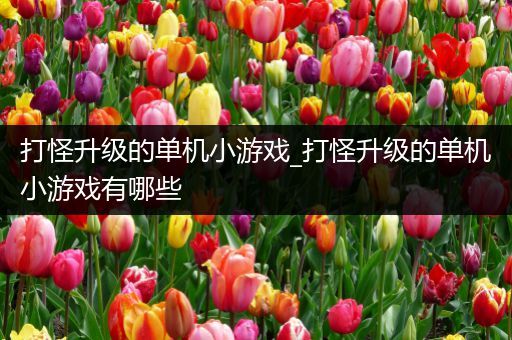 打怪升级的单机小游戏_打怪升级的单机小游戏有哪些