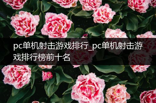 pc单机射击游戏排行_pc单机射击游戏排行榜前十名