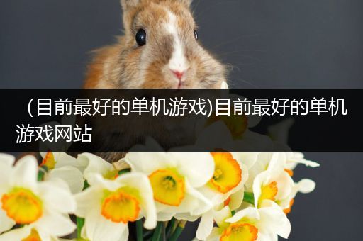 （目前最好的单机游戏)目前最好的单机游戏网站