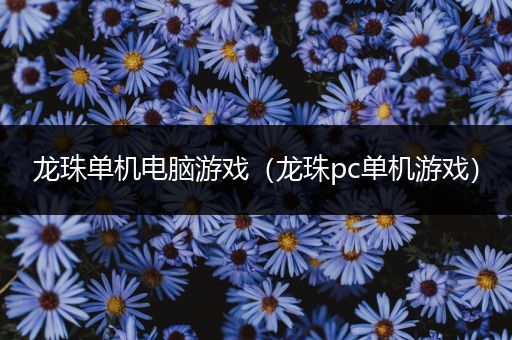 龙珠单机电脑游戏（龙珠pc单机游戏）