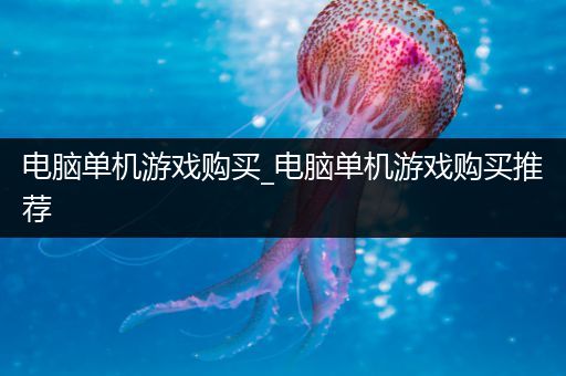 电脑单机游戏购买_电脑单机游戏购买推荐
